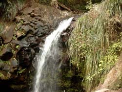 anadala fall